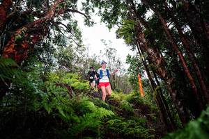 BIB: 
                            <button type="button" onclick="openModal(26202388)" class="btn btn-primary btn-sm float-right btn-popup" data-toggle="modal" data-target=".modal-high-quality">
                        <i class="fas fa-shopping-cart"></i> Add to Cart
                    </button>
                                            <button type="button" onclick="isThisMe(26202388, true)" class="btn btn-success btn-sm float-right btn-popup btn-isme hidden" data-toggle="tooltip" data-placement="bottom" title="นี่คือรูปของคุณใช่ไหม คลิกที่นี่เพื่อเอาเข้าอัลบั้ม">
                        <i class="fas fa-plus"></i> Add to album
                    </button>
                    <button type="button" onclick="isThisMe(26202388, false)" class="btn btn-warning btn-sm float-right btn-popup btn-isnotme hidden">
                        <i class="fas fa-ban"></i> Remove from album
                    </button>